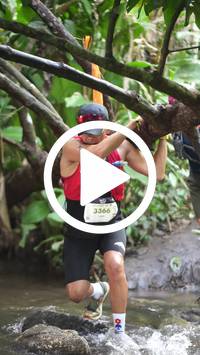 BIB:  <button type="button" onclick="openModal(27824970)" class="btn btn-primary btn-sm float-right" data-toggle="modal" data-target=".modal-high-quality">
                <i class="fa fa-download"></i> Download
                </button>